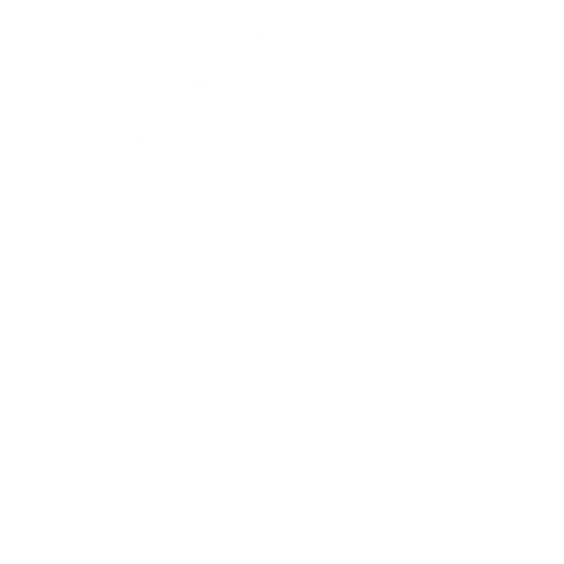 Fire Damaged Properties